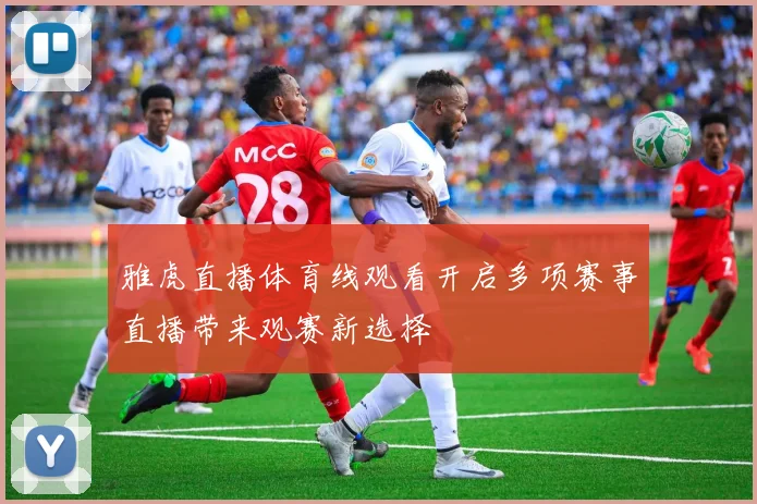 雅虎直播体育线观看开启多项赛事直播带来观赛新选择