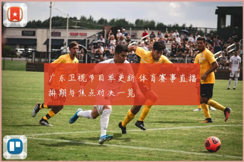 广东卫视节目单更新 体育赛事直播排期与焦点对决一览